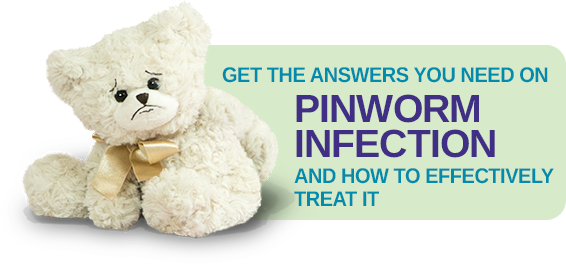 Get the answers you need on Pinworm Infection and how to effectively treat it